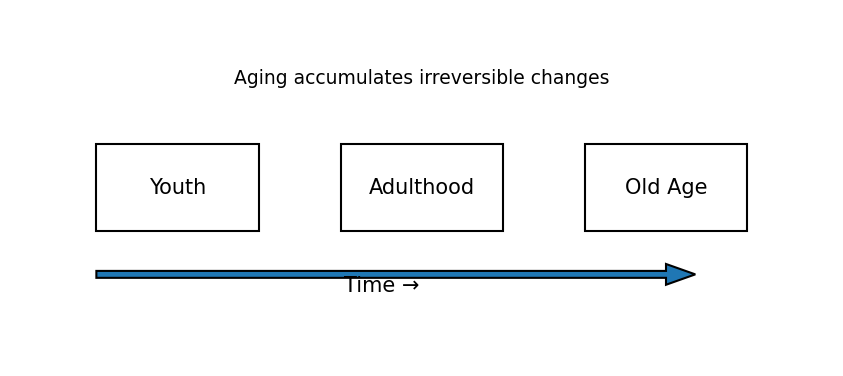 Diagram showing aging over time as evidence of the arrow of time and irreversibility.